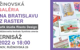 Ružinovská galéria: Pohľad na Bratislavu cez raster
